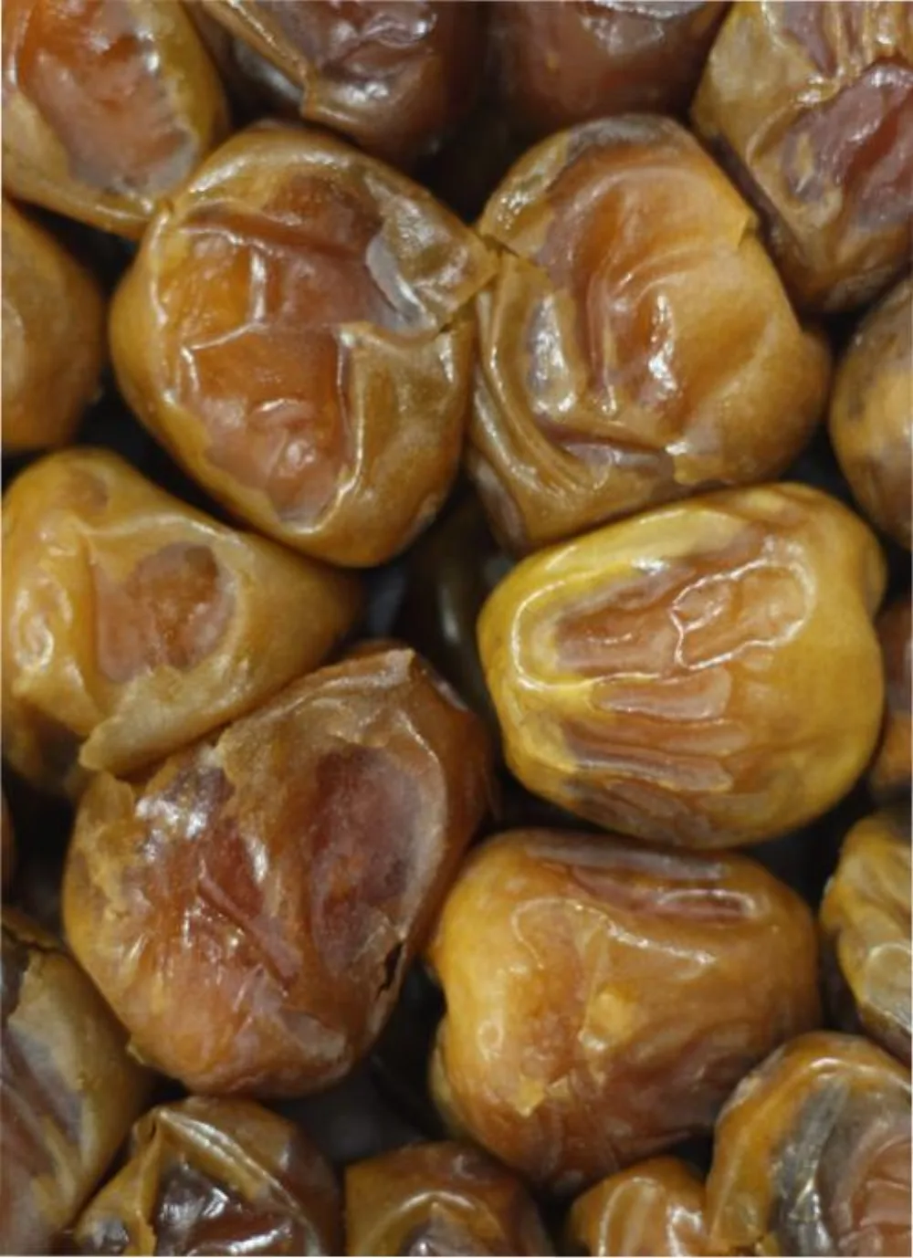 Kurma Sukkary (Sukari) Al Qassim — Basah & Kering 500g / 1kg / 3kg